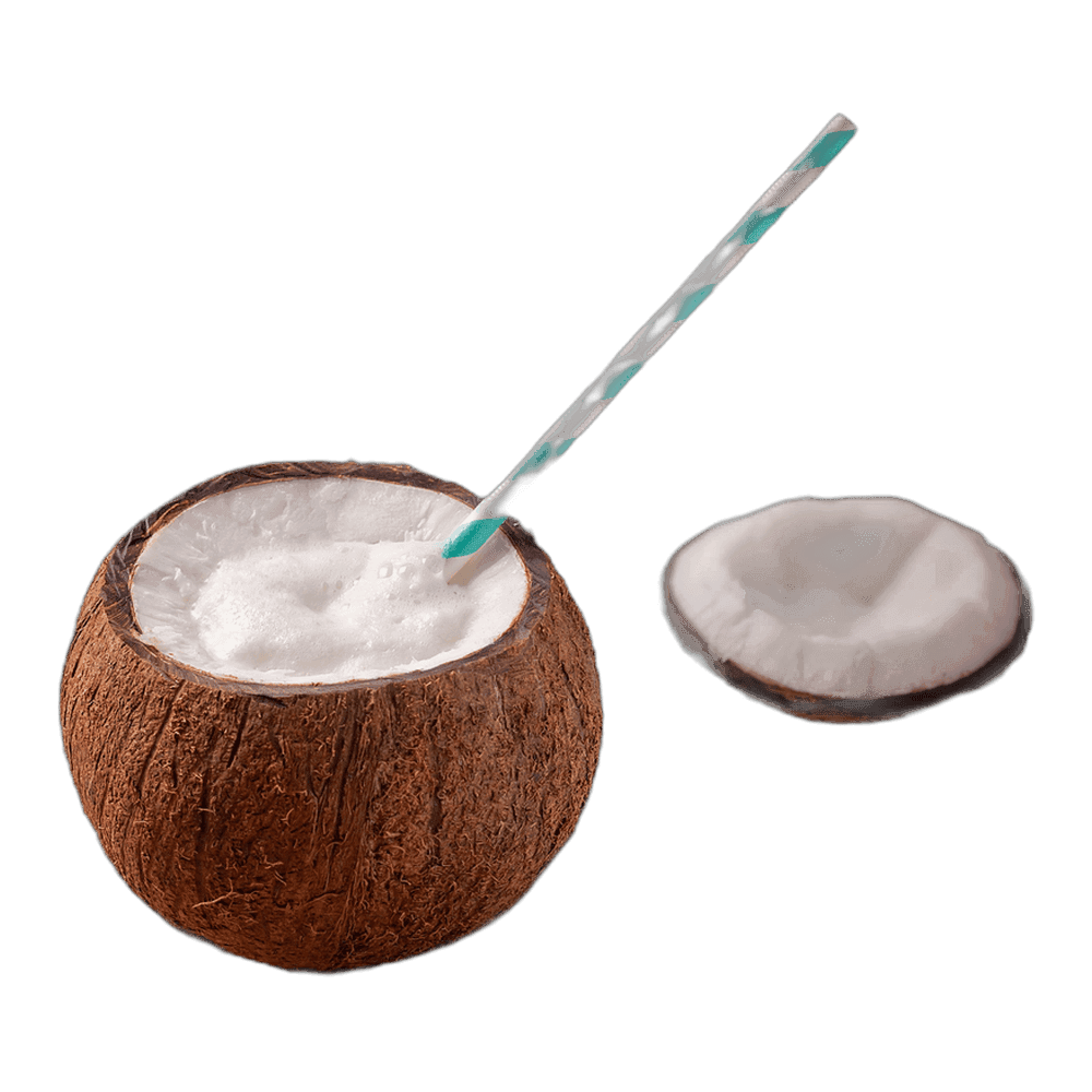 Coconut Cream